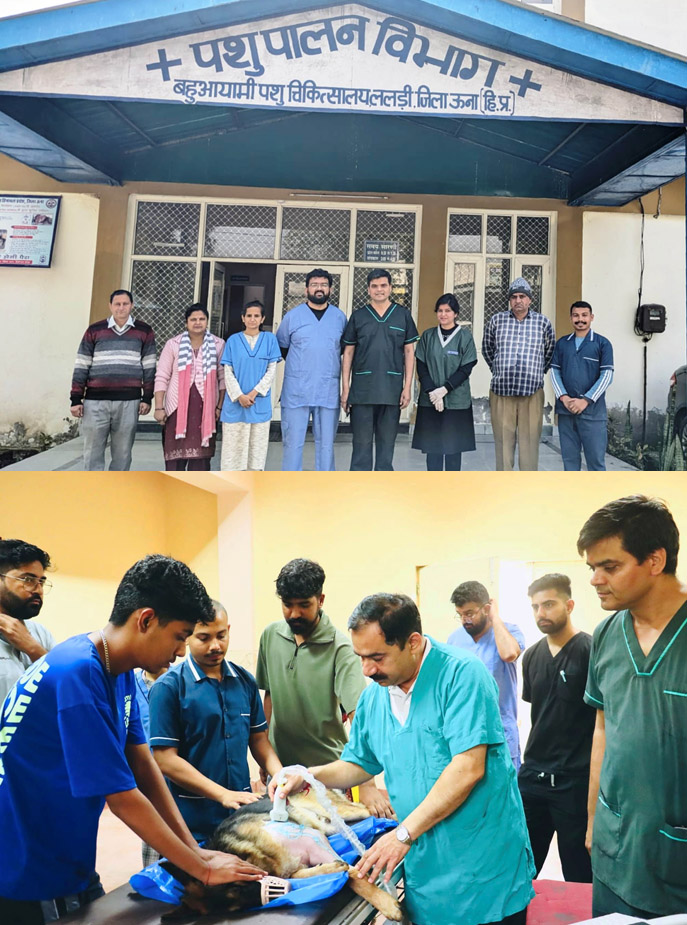 There is a hospital in Una district where animal diseases are detected 6 months in advance